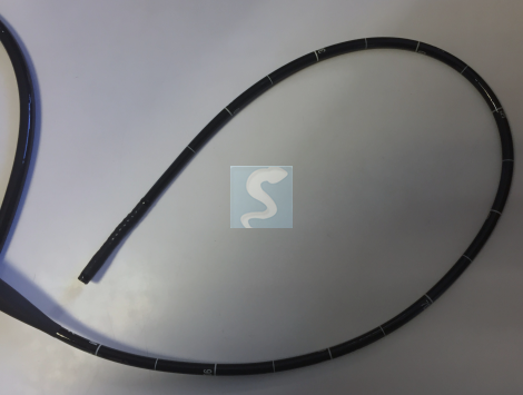 Gastroscope vidéo OLYMPUS GIF-145