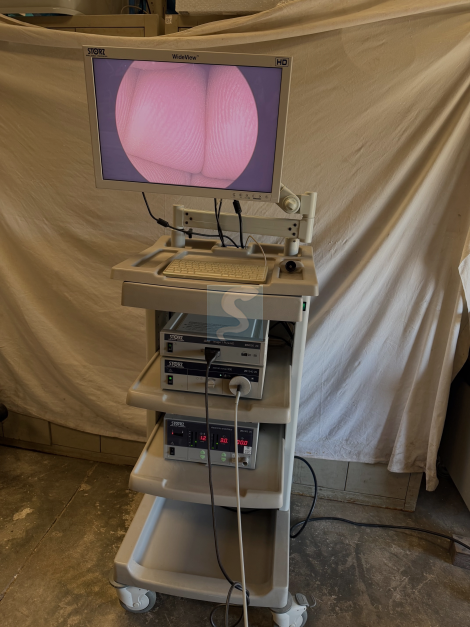 COLONNE Video STORZ Image 1 Pure HD