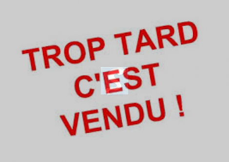 Divan d’examen électrique Gynécologie -  LUNEAU Série 6ET